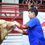 DPRD Jateng Apresiasi Program Kesehatan Hewan Keliling Gratis Pemprov: Dorongan bagi Peternak Kecil