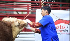 DPRD Jateng Apresiasi Program Kesehatan Hewan Keliling Gratis Pemprov: Dorongan bagi Peternak Kecil