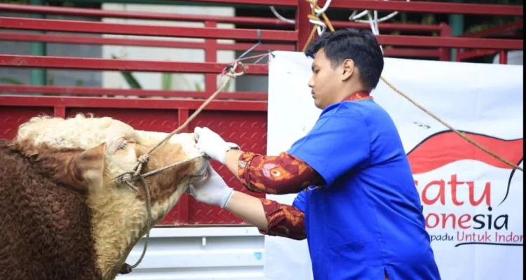 DPRD Jateng Apresiasi Program Kesehatan Hewan Keliling Gratis Pemprov: Dorongan bagi Peternak Kecil