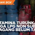 Harga LPG Non-Subsidi Melonjak, UMKM Tertekan: Akumindo & YLKI Soroti Beban Tambahan