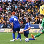 Leeds United Tumbangkan Wolves 3-0, Langkah Besar Menuju Keselamatan Premier League