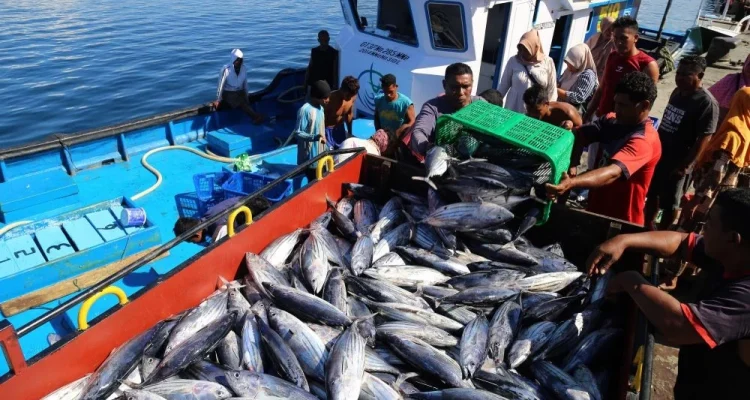 RW 06 Kelapa Gading Barat Bayar Rp5.000 per Kg untuk Tangkap Ikan Sapu‑sapu, Gubernur Pramono Anung Pantau Upaya Pengendalian Invasif