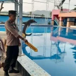 Tragedi Kolam Renang: Enzo, Balita 4 Tahun, Berjuang Melawan Tonic Seizures Pasca Cedera Otak