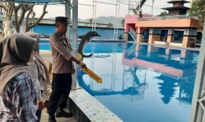 Tragedi Kolam Renang: Enzo, Balita 4 Tahun, Berjuang Melawan Tonic Seizures Pasca Cedera Otak