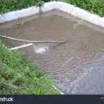 Warga Pagar Alam Kaget: Kolam Ikan Berubah Merah, Ini Penyebabnya!